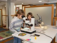 17 upoznaj zemlju   zaviri u mikroskop