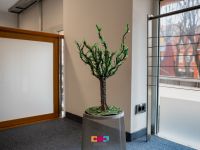 30 izlozba umjetnicke skole