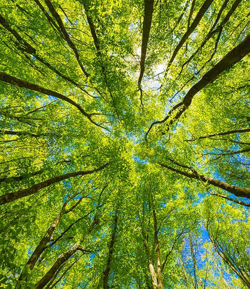 Il Centro Giovani Pola ospita una visita professionale internazionale nel campo dell'educazione all'aperto e della pedagogia forestale